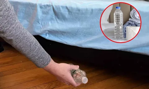 Nhận phòng khách sạn phải ném ngay chai nước vào gầm giường, đây là lý do