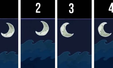 Trắc nghiệm Mặt Trăng: Khám phá năng lực tiềm ẩn giúp bạn dễ thành công