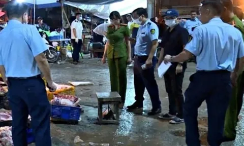 Vụ 300 tấn thịt lợn bệnh vào trường học: ăn phải lợn mắc dịch tả có bị lây không? Giải đáp mới nhất