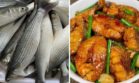 Loại cá giàu protein, ít chất béo bán đầy ngoài chợ: Đem kho với loại củ này ăn cực ngon