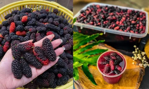 Mẹo ngâm dâu tằm để lâu không mốc hỏng, lên men