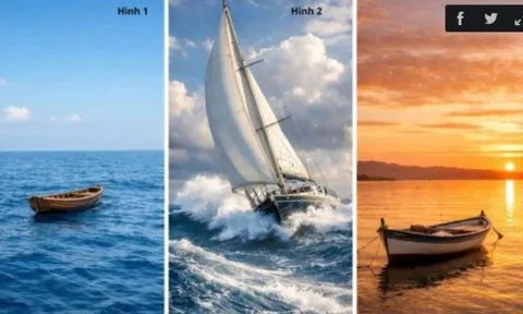 Trắc nghiệm tâm lý: Bạn thuộc tuýp người nỗ lực thay đổi cuộc sống hay chấp nhận số phận?