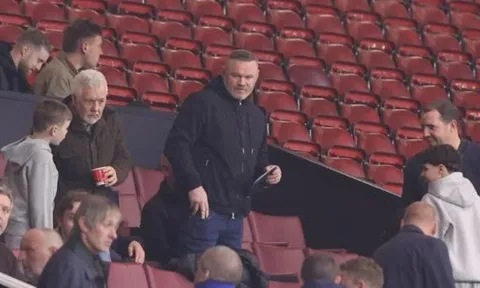 Rooney muốn tặng Jonathan Ross cú đấm trên sàn quyền anh