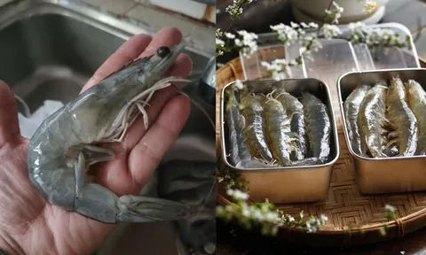 Mẹo bảo quản tôm bằng đường, để cả tháng vẫn tươi ngon, chắc thịt