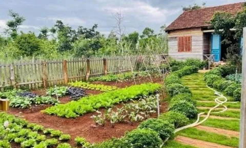 Muốn chuyển đất vườn sang đất thổ cư phải đóng những khoản tiền nào năm 2026?