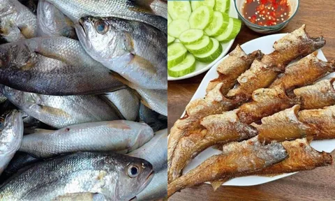 Từ cá “nhà nghèo” thành đặc sản xuất khẩu: Hành trình lột xác của cá lù đù