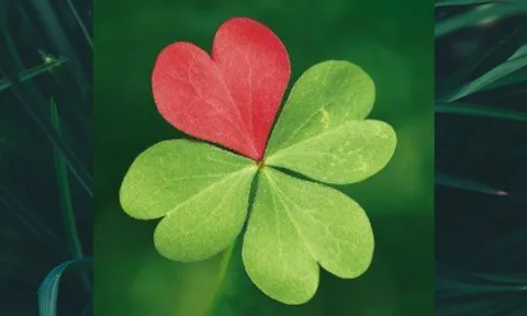 Từ tháng 4 đến tháng 6: 3 tuổi vượng quý nhân, làm việc lớn có người nâng đỡ