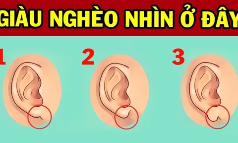 Người có tướng tai này cả đời sung túc, sống trong nhung lụa