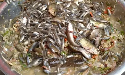 Thứ nhìn rất kinh hãi, xưa ít ai biết nay thành đặc sản có hương vị độc lạ, muốn ăn nhất định phải đến đây