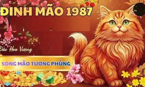 20 ngày tới Thần Tài đến muộn, 4 con giáp mở tiệc ăn mừng, tiền về như thác đổ