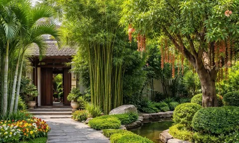 3 loại cây nên trồng trước nhà để hút sinh khí, gọi tài lộc: Người xưa đặc biệt coi trọng