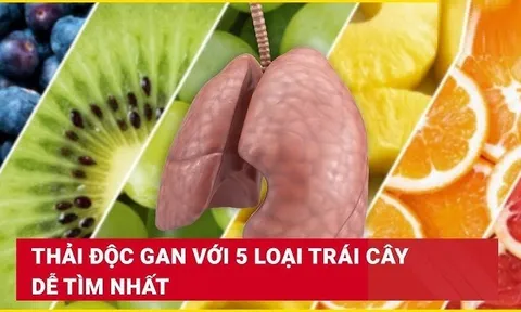 5 loại quả bổ gan - mát ruột, thải hết độc tố ra ngoài