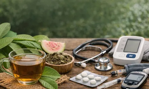 5 trường hợp không nên uống nước lá ổi: tưởng lành mà có thể phản tác dụng