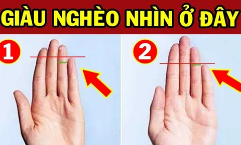 Người phú quý hơn người trên bàn tay có 4 điểm này: Kiểm tra ngay xem bạn có không?
