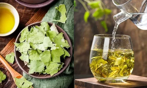 Uống nước lá sen, cơ thể nhận được 4 loại ích tuyệt vời