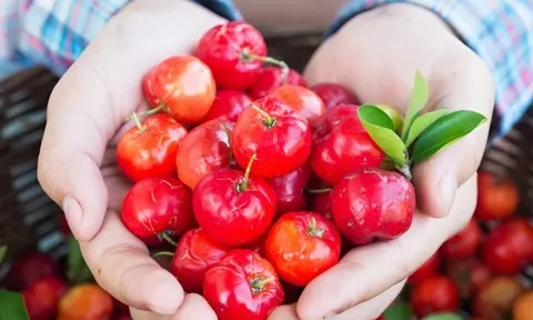 12 loại quả giải nhiệt mùa nắng nóng, ăn đúng cách giúp ngừa bệnh về tim mạch, ngoài chợ Việt bán đầy từ 10.000 đ/kg