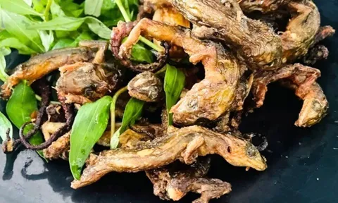 “Lộc trời” ở núi Bà Đen bò ra từ trong hang đá, dân bắt về phơi khô thành đặc sản, giá 1,5 triệu đồng/kg vẫn khó mua