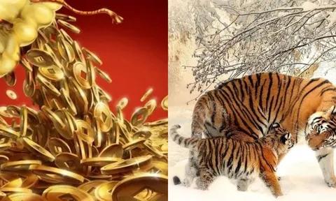 3 con giáp thời tới cản không kịp: Thứ Tư (8/4) vận đỏ rực, thứ Năm đến cuối tuần tiền đầy ví