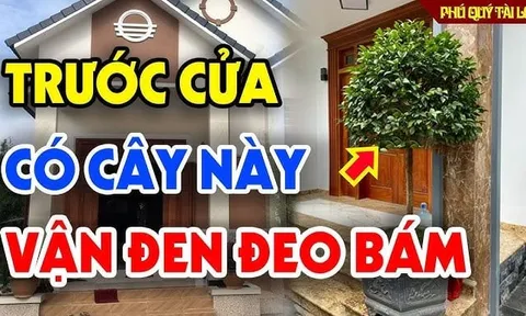 4 thứ mọc ở trong vườn hút cạn lộc may, nhổ ngay mà giữ Tiền tài