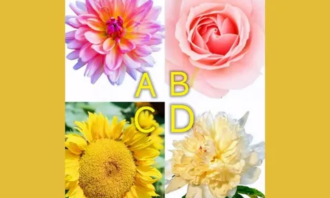 Trắc nghiệm tâm lý: Hậu vận bạn sẽ giàu có nhất ở điều gì?