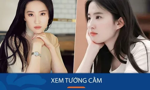 5 tướng cằm của người Phúc Khí Dồi Dào cả đời giàu có: Kiểm tra ngay xem bạn có không?