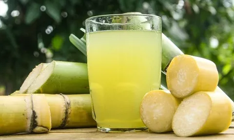 Chuyên gia cảnh báo: Ăn mía sai cách có thể gây ngộ độc, thậm chí tử vong!