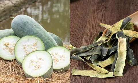 Vỏ bí đao (bí xanh) bị đem bỏ đi hóa ra lại là vị thuốc quý, mang lại 5 lợi ích đặc biệt