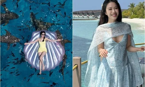 Nữ BTV xinh như hoa hậu khoe ảnh đẹp mê giữa biển, nhiều người thắc mắc về đàn cá mập bơi xung quanh