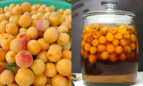 Mẹo ngâm mơ đường bằng nồi cơm điện, càng để lâu càng ngon, không bị nổi váng