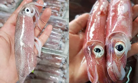 Mẹo phân biệt mực tươi và mực đã bị ướp đá lâu