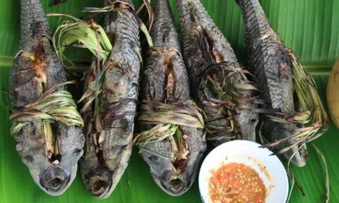 Loại cá xưa không ai dám ăn, giờ thành đặc sản nổi tiếng được khách du lịch "ưa thích", 60.000 đồng/kg
