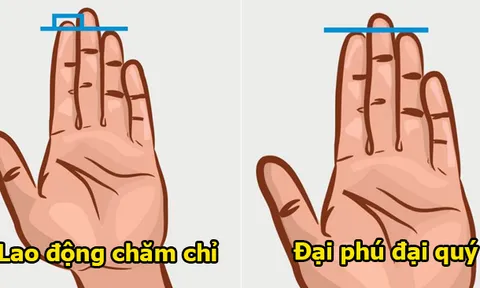 5 dấu hiệu trên lòng bàn tay của người giàu có, phúc khí dồi dào