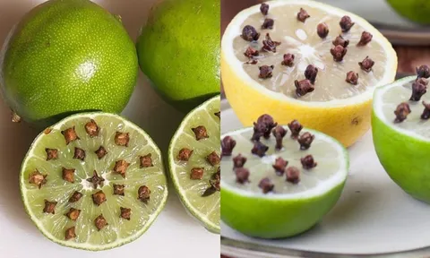 Cắm thứ này vào quả chanh và đặt ở góc nhà, muỗi nhiều mấy cũng hết sạch