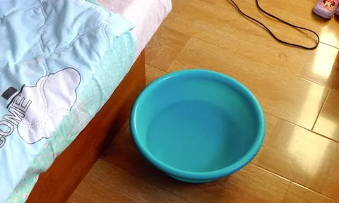 Vì sao nên đặt một bát nước trong phòng khi bật điều hòa? Chuyên gia giải thích khiến nhiều người bất ngờ