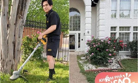 Đan Trường sống độc thân trong cơ ngơi rộng: Dàn hoa hồng cao gần bằng người, cỏ mọc um tùm sau mấy tháng đi xa