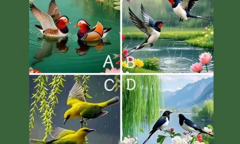 Trắc nghiệm: Bạn và người yêu ai là người “có phúc” hơn? Chọn một bức tranh sẽ rõ