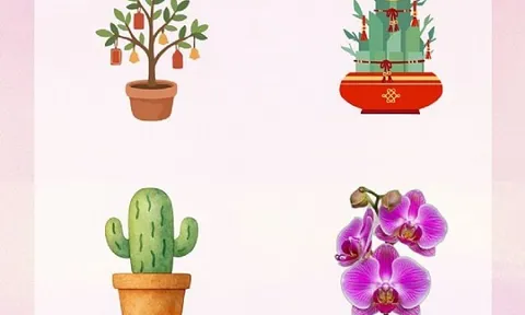 Trắc nghiệm tâm lý: Lời khuyên nào giúp bạn tránh mất tiền trong năm 2026?