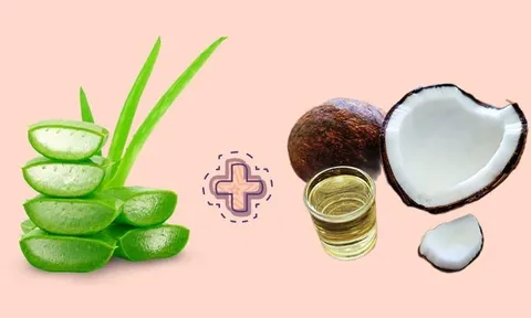 Công thức dưỡng tóc từ nha đam và dầu dừa: Đơn giản nhưng giúp tóc mềm mượt tự nhiên