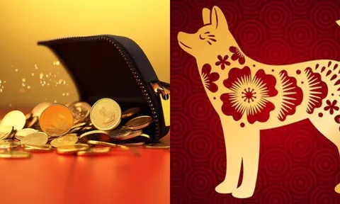 Vận số xoay chiều: 4 con giáp thoát khó, từ tháng 5 đến tháng 11 làm ăn phất lên, thu nhập tăng vùn vụt