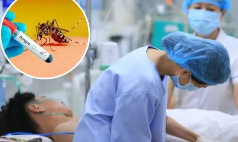 Sốt xuất huyết diễn biến phức tạp, có xu hướng gia tăng, chuyên gia chỉ 4 hiểu lầm dường như gia đình nào cũng gặp