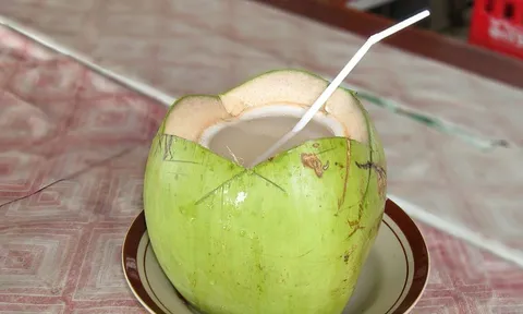 Điều gì xảy ra với cơ thể nếu thường xuyên uống nước dừa vào buổi sáng?