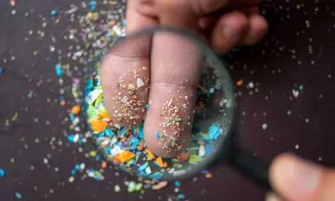 Hạt vi nhựa là gì? Tác hại khủng khiếp của vi nhựa, 5 thực phẩm chứa nhiều nhất cần tránh