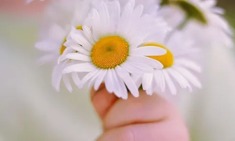  Từ 20/4-10/5: 3 tuổi được quý nhân để ý, cơ hội đổi đời đến nhanh như chớp