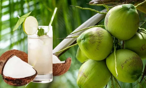 2 thời điểm uống nước dừa giúp giảm cân, giảm mỡ bụng