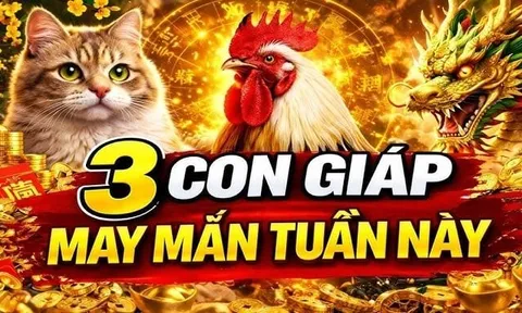 Thứ Hai, Ba, Tư: 3 con giáp xoay mình hóa Rồng thêm cánh, hết kiếp nghèo