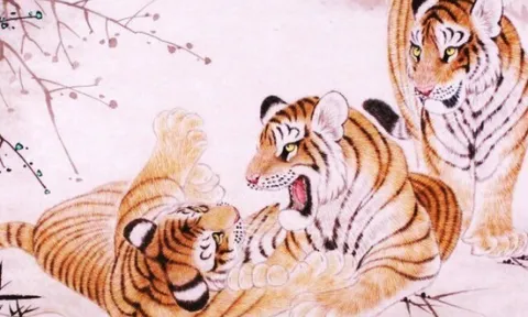 Tử vi tuần mới 20-26/4: Dần bội thu, Hợi có tin vui về tiền bạc