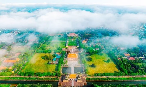 Đâu là Thành phố Xanh đầu tiên của Việt Nam, đô thị nào có tỷ lệ cây xanh cao nhất cả nước?