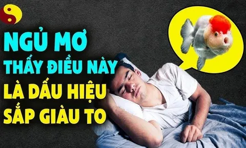 4 giấc mơ điềm báo may mắn bạn sắp có khoản tiền lớn