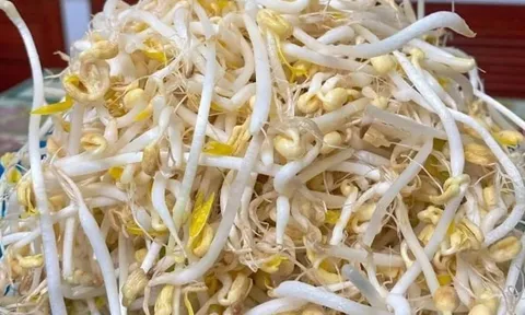 5 loại rau “vua thải độc” trong mùa nắng nóng, chợ Việt bán rất nhiều