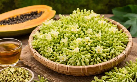 Hoa đu đủ đực tốt nhưng không phải ai cũng dùng được: 4 nhóm người cần đặc biệt cẩn trọng